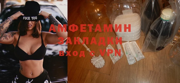 шишки Богородицк