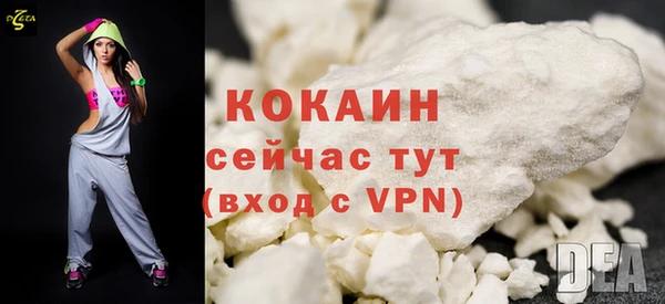 шишки Богородицк