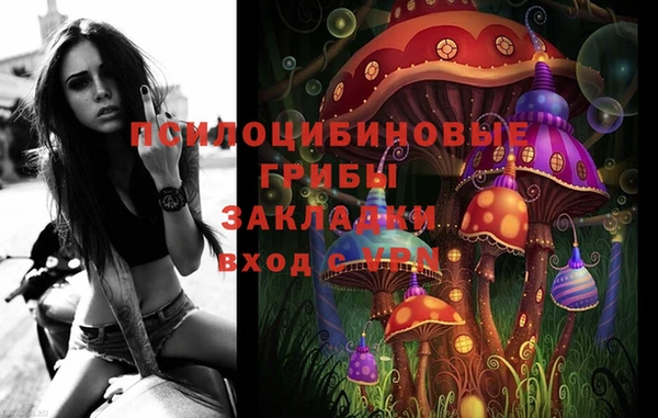 шишки Богородицк