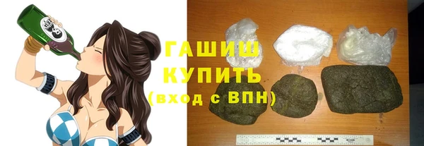 шишки Богородицк