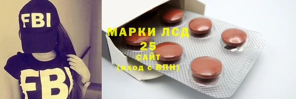 шишки Богородицк