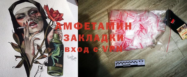шишки Богородицк