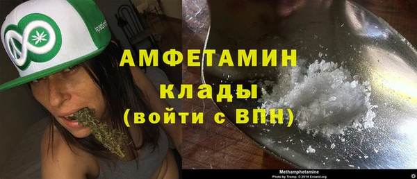 шишки Богородицк