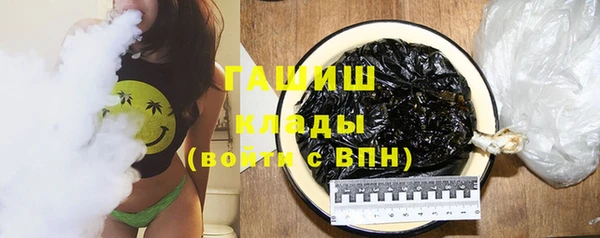 шишки Богородицк